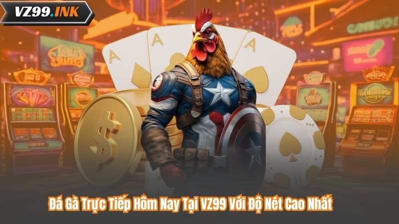 Đá Gà Trực Tiếp Hôm Nay Tại VZ99 Với Độ Nét Cao Nhất 5 Đá Gà Trực Tiếp Hôm Nay Tại VZ99 Với Độ Nét Cao Nhất