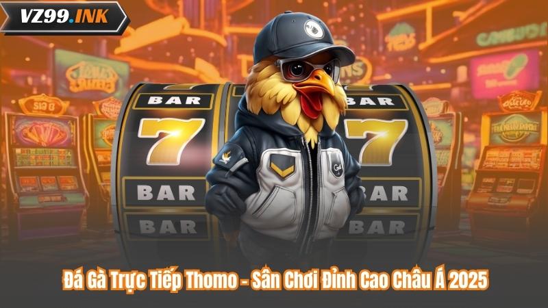 Đá Gà Trực Tiếp Thomo - Sân Chơi Đỉnh Cao Châu Á 2025 3 Đá Gà Trực Tiếp Thomo - Sân Chơi Đỉnh Cao Châu Á 2025
