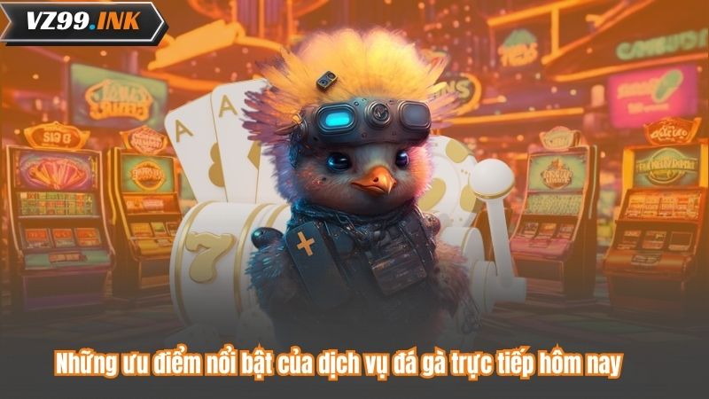 Đá Gà Trực Tiếp Hôm Nay Tại VZ99 Với Độ Nét Cao Nhất 7 Những ưu điểm nổi bật của dịch vụ đá gà trực tiếp hôm nay