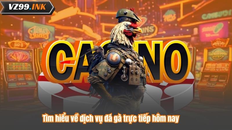 Đá Gà Trực Tiếp Hôm Nay Tại VZ99 Với Độ Nét Cao Nhất 6 Tìm hiểu về dịch vụ đá gà trực tiếp hôm nay